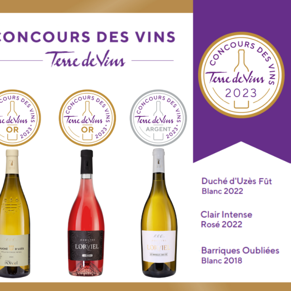 MEDAILLES CONCOURS TERRE DE VINS 2023